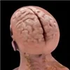 neuro